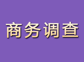 五通桥商务调查